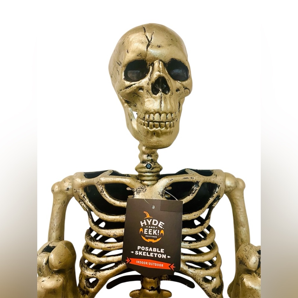 Hyde and EEK! 36" Posable Skeleton Halloween Decorative Prop - Picture 5 of 9
